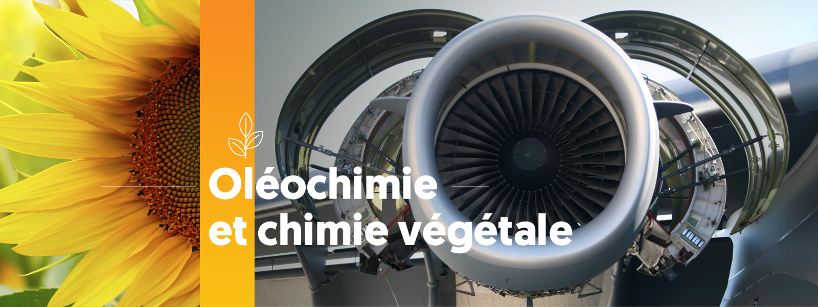 Oléochimie & chimie végétale