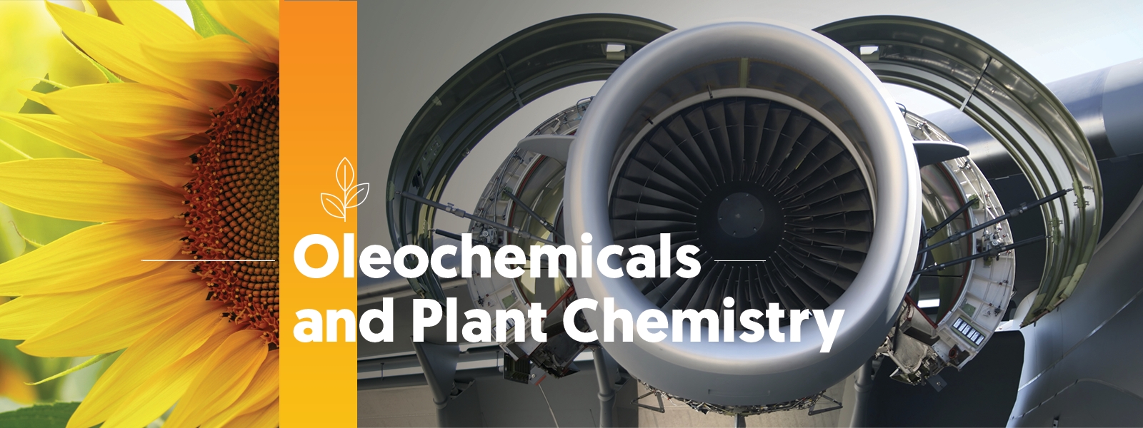 Oleochemicals and plant chemistry