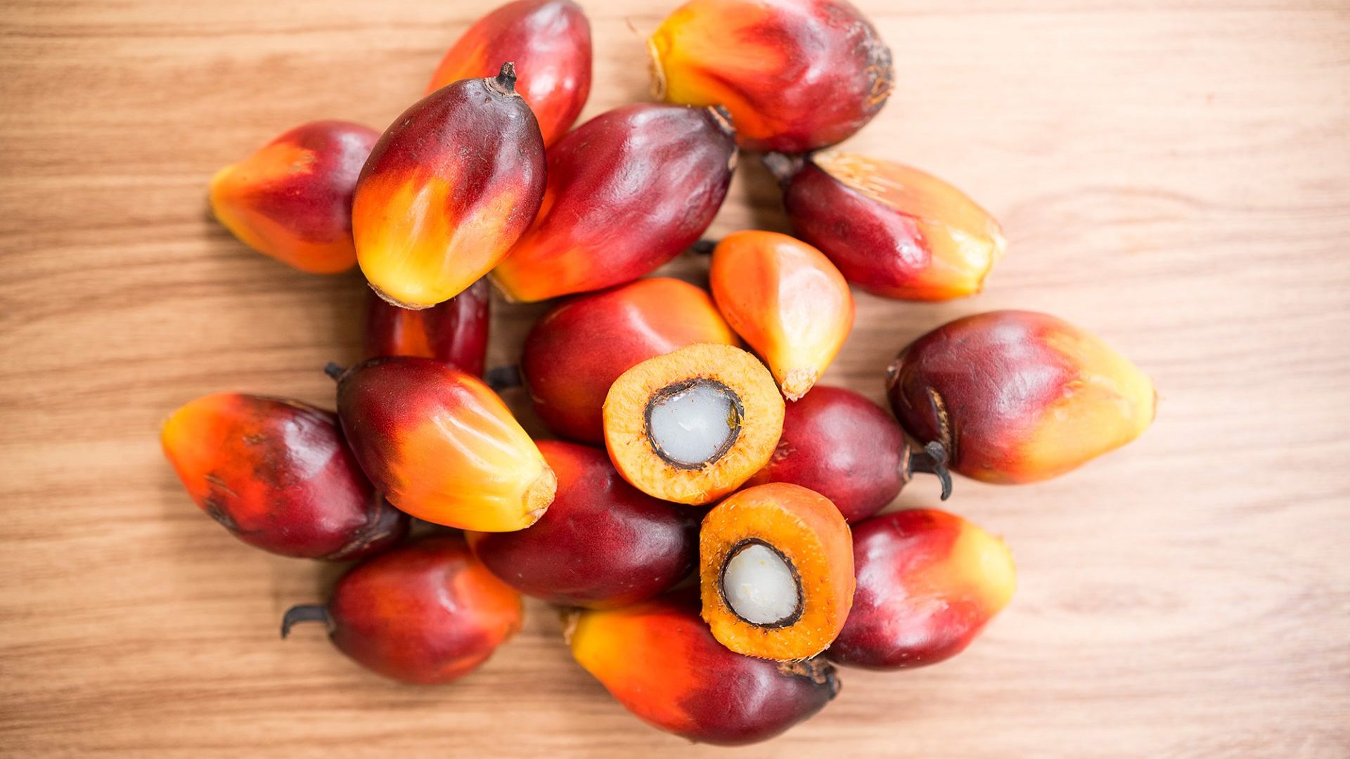 Oléochimie - Acides gras - Acide gras de palmiste