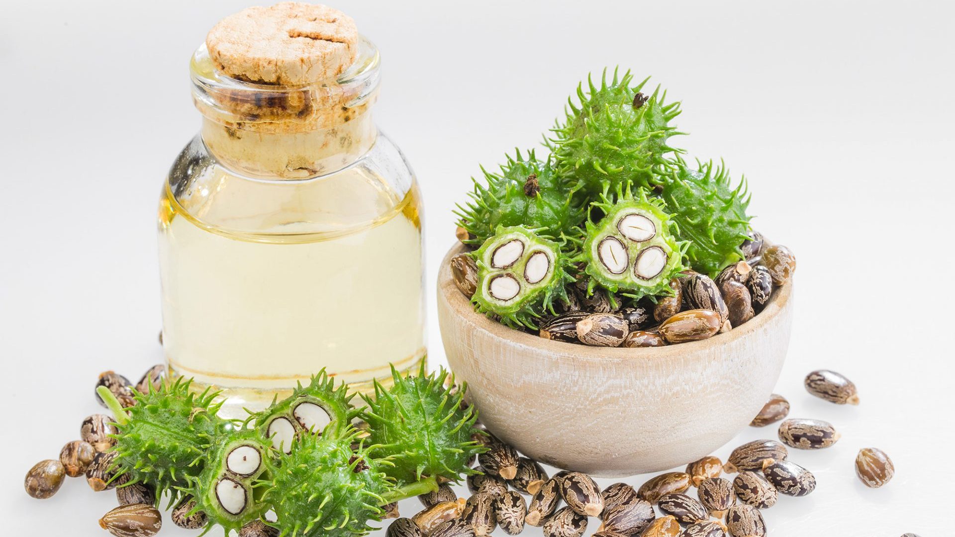 Oléochimie - Acides gras - Acide 12-hydroxystearique