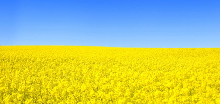 Gamme de produits oléochimie et chimie végétale - Henry Franc