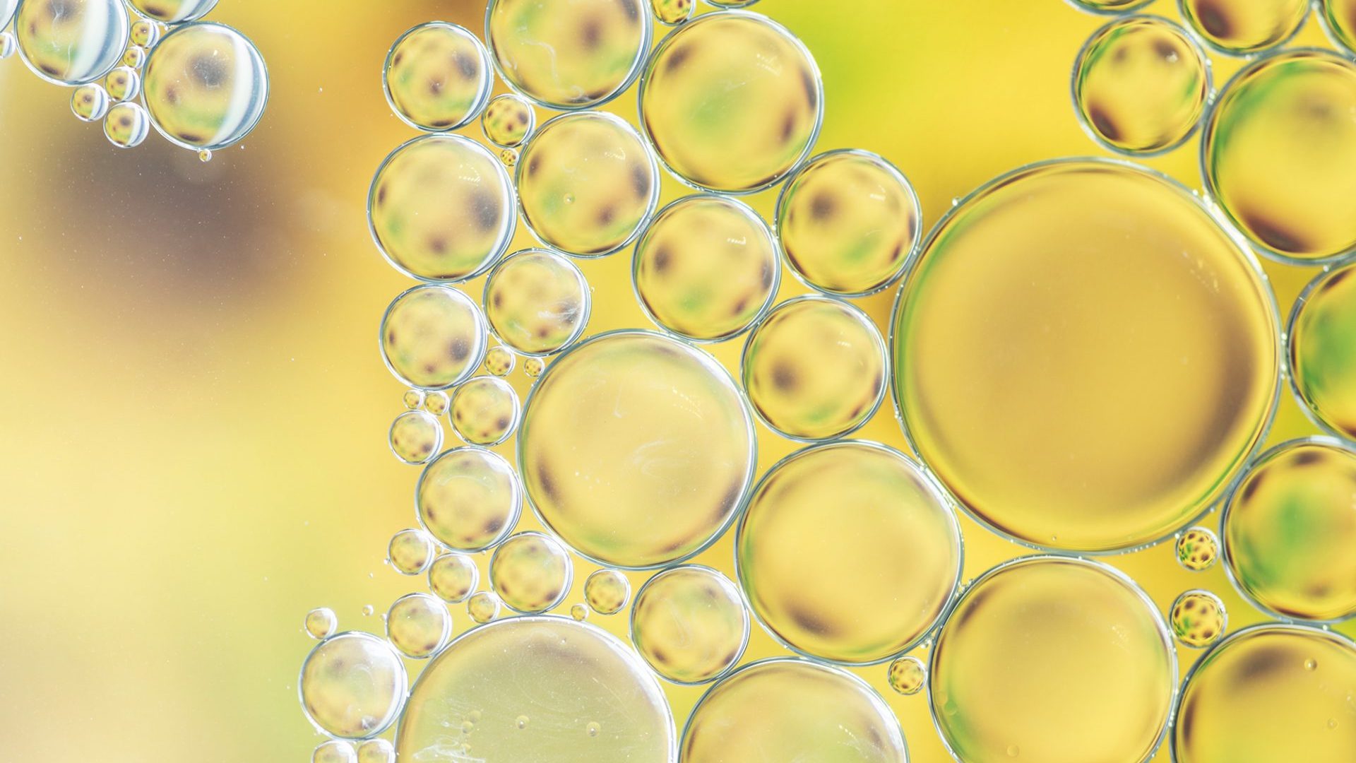 Henry Franc - Oléochimie et chimie végétale